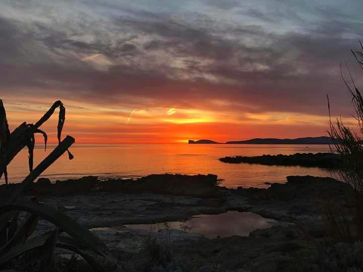 Il Tramonto Balaguer Leilighet Alghero Eksteriør bilde